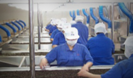 LOOSE TEA PROCESSING WORKSHOPS